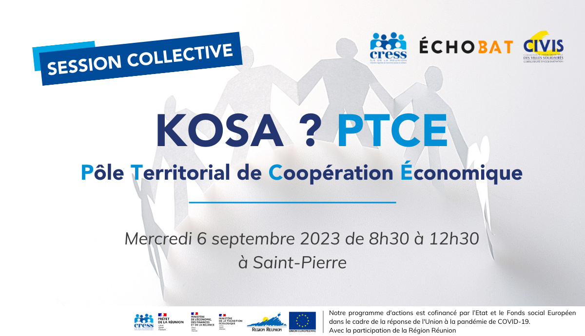 Session collective - KOSA PTCE (Pôle Territorial de Coopération Économique) | Source : CRESS de La Réunion - www.cress-reunion.com