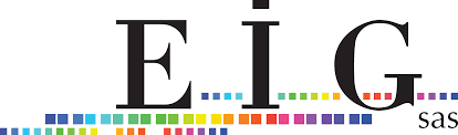 Logo EIG