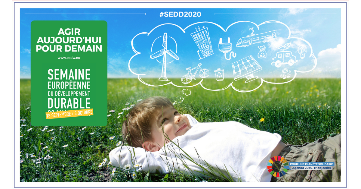 CRESS de La Réunion | Semaine Européenne de Développement Durable - SEDD 2020