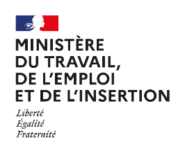 Logo du Ministère du Travail, de l'Emploi, et de l'Insertion