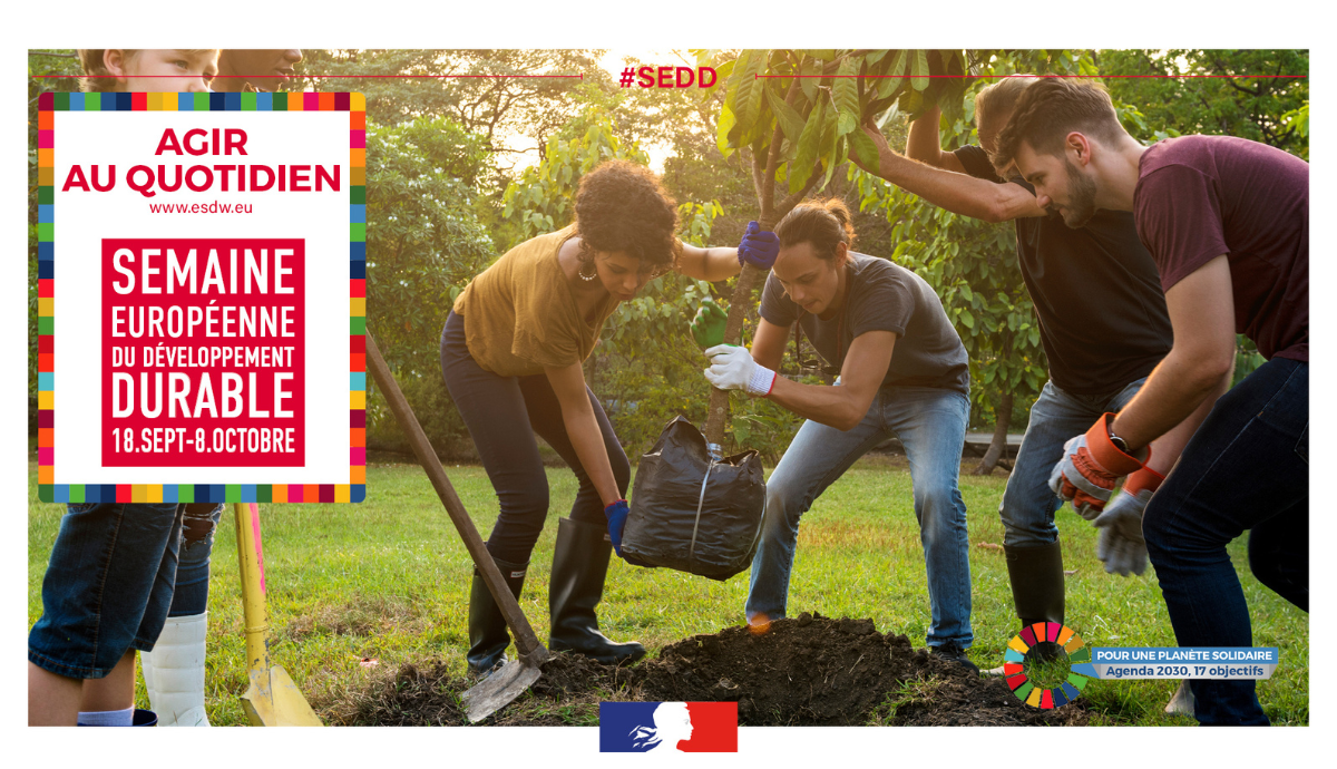 SEDD 2023 à La Réunion