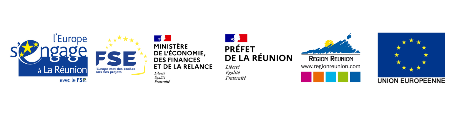 CRESS de La Réunion | Logos financeurs