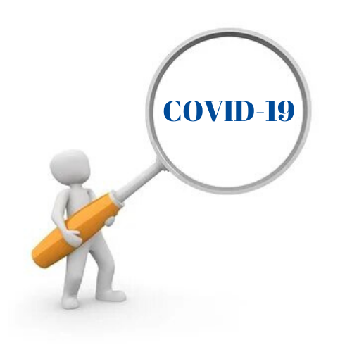 Logo Enquête Flash - Etudes d'impacts COVID-19