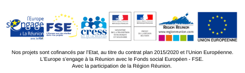 CRESS de La Réunion | Logos financeurs