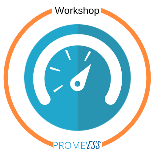 Logo Workshop PROME'ESS