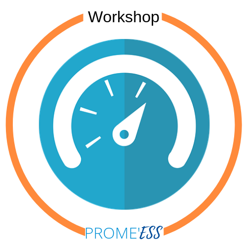 Logo Workshop Prome'ESS